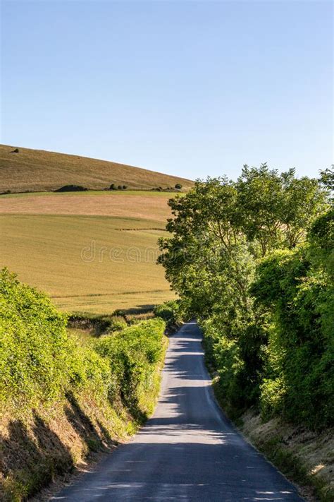 A Country Road Through Farmland In Sussex With A Blue Sky Overhead