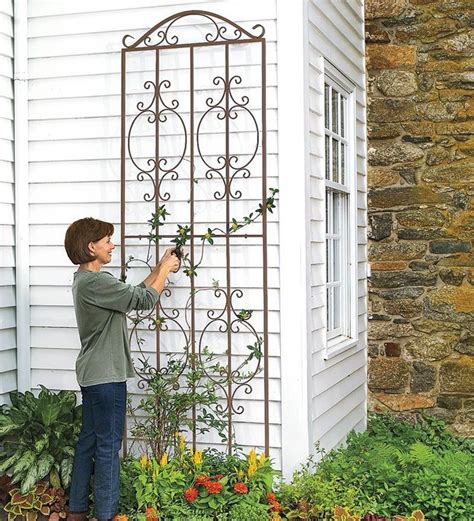 The harrod garden trellis narrow panels are made to an exceptional standard using solid 8mm our maintenance free metal wall trellis panels will soften and decorate garden walls to become a. Iron Montebello Tall Trellis | Planters | Tall garden ...