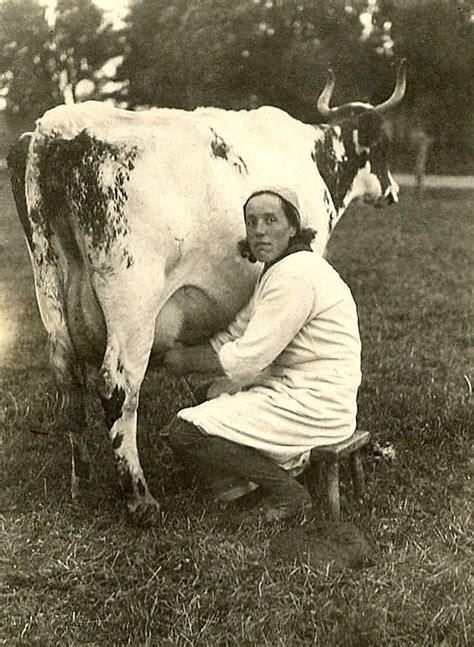 Woman Milking A Cow Hauho Finland Cow Photography History Of Finland Old Photos