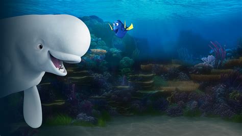 Download Bailey Finding Dory Dory Finding Nemo Movie Finding Dory