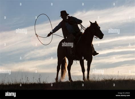 Cowboy Lasso Silhouette Hi Res Stock Photography And Images Alamy