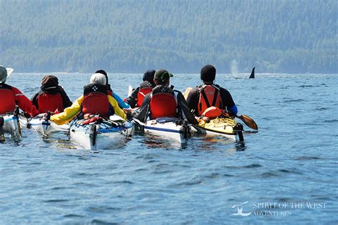 Spirit Of The West Kayaking In British Columbia British Columbia