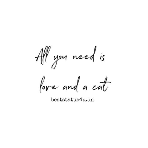 100 Best Quotes For Cat Lovers Adorable Whatsapp Status For Cats