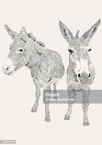 Dozy Donkeys Stock Illustration Download Image Now Donkey Mule