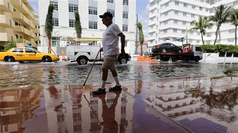 Miami Says It Can Adapt To Rising Seas Not Everyone Is Convinced