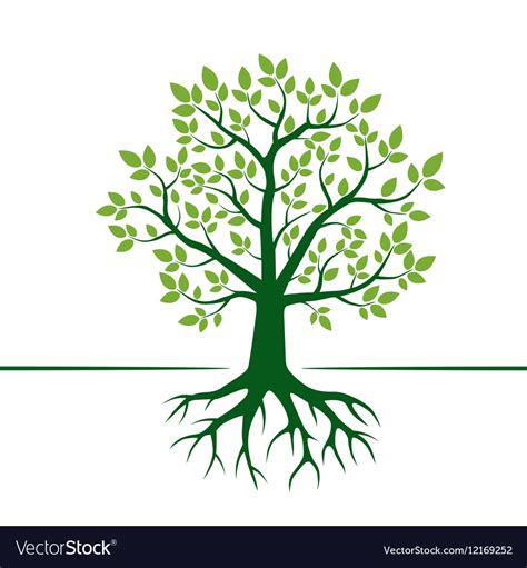 Green Tree And Roots Royalty Free Vector Image