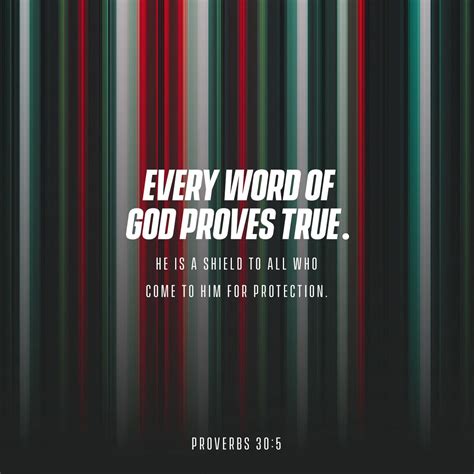 Proverbs 305 6 Every Word Of God Proves True He Is A Shield To All