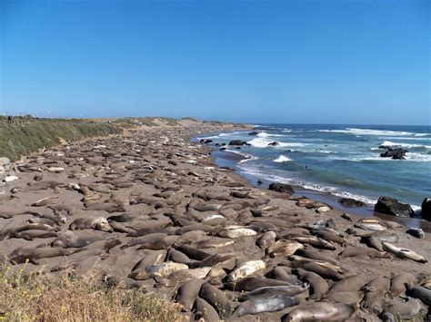 Highway 1 In California Rijden Ontdek Onze Favoriete Stops Tips