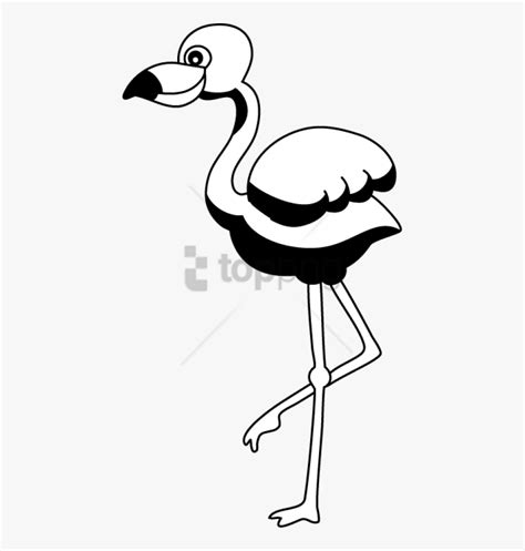 Flamingo Clipart Panda Clip Art Free Transparent Clipart Clipartkey