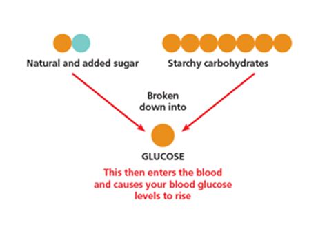 Understanding Carbohydrates Preventing Diabetes