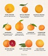 10 Types of Oranges and What They’re Best for – PureWow