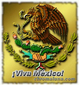 We also provide option to copy direct cinco de mayo gif image url. La vida plena en plena vida - GIFS DE MEXICO, VIVA MEXICO, GIFS 16 DE SEPT, GIFS 5 DE MAYO,20 DE ...