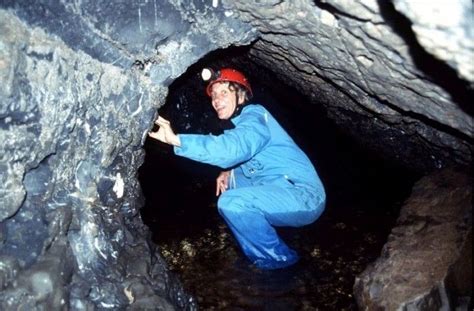 Mole Creek Caves Tasmanias Wild Caves Tasmania Creek Adventure