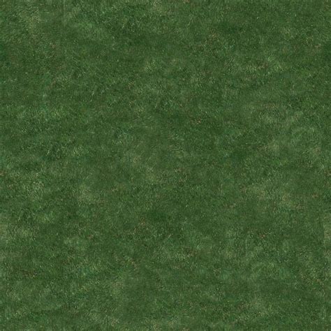 Download Texture Seamless Texture Of Grass For 3d Max Number 12087 At