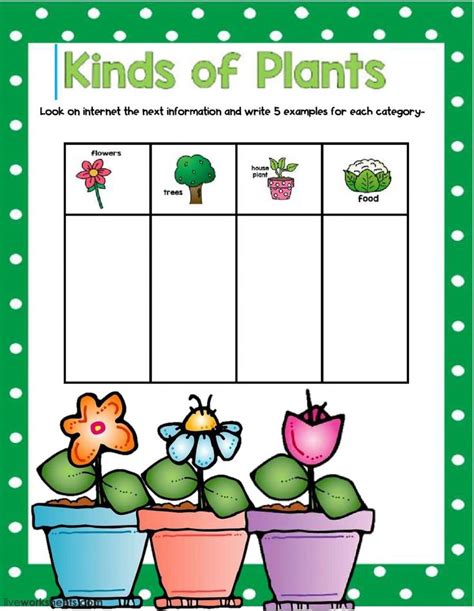 Plant Worksheets For Kindergarten