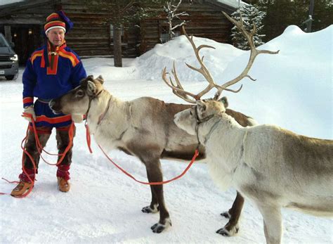 9 Facts About Reindeer