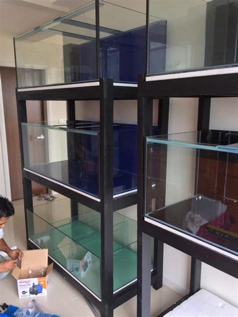 Inside the cabinet, you've a space for canister filters and wet/dry filters. Fish Shop Tank | Malaysia Aquarium Stand Cabinet Manufacturer