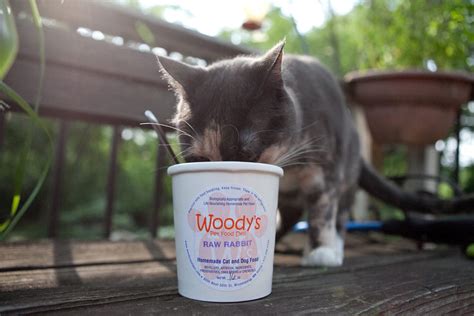 Raw or Cooked - Woodys Pet Food Deli