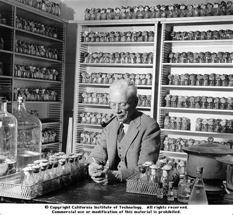 Alfred Sturtevant At Caltech Lab 1950 Cshl Dna Learning Center