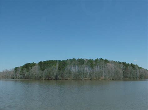 Job's Children: Shocking Revelations