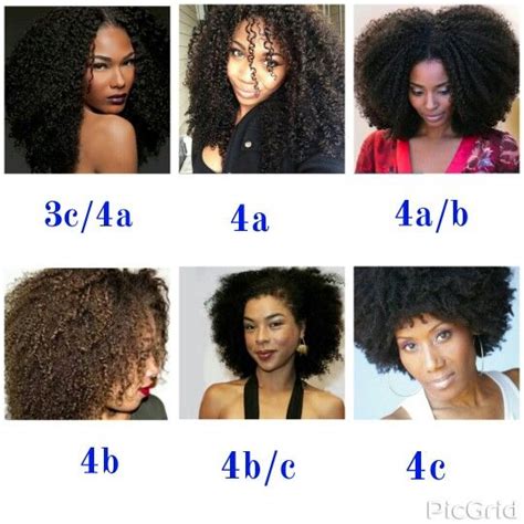 The 25 Best Hair Type Chart Ideas On Pinterest Black Hair Types