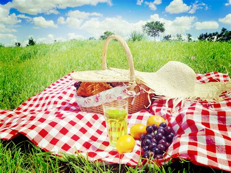 Picnic Wallpapers High Quality Download Free