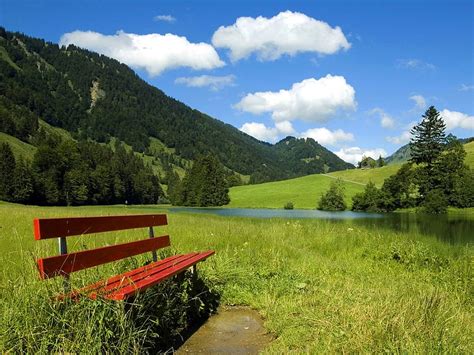 Bench In Country Field Bench Green Fields Sky Nature Grass Hd