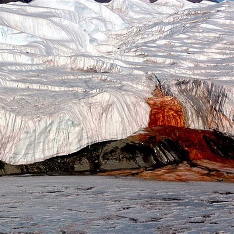 The Secret Of The Blood Falls Of Antarctica Amusing Planet