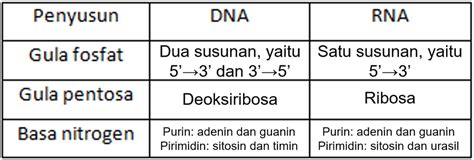 Perhatikan Struktur DNA Dan RNA Di Bawah Ini