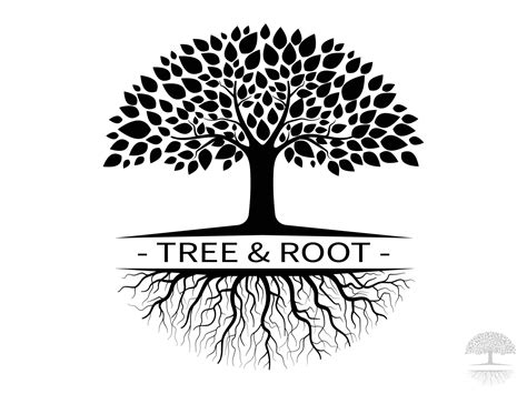Tree And Root Silhouette Isolated On White Background Tree And Roots