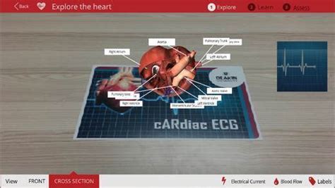 Many features make this application one of the best choices for fun. How an AR app is taking Deakin students inside the heart ...