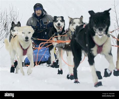 Norwegian Musher And Iditarod Trail Sled Dog Race Champion Robert