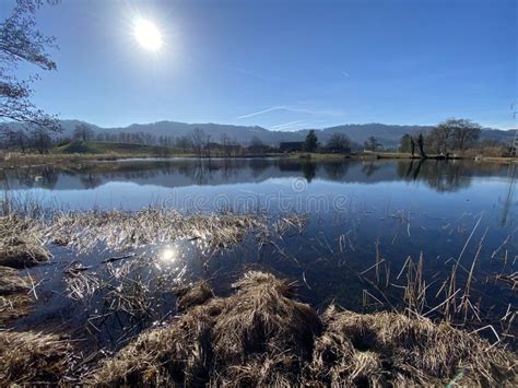 Late Winter And Early Spring On The Gattikerweiher Pond And In The