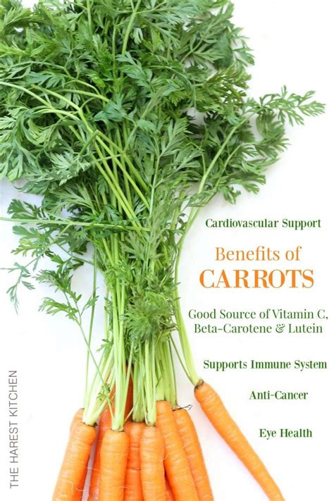 Health Benefits Of Carrots In 2023 Health Benefits Of Carrots Carrot