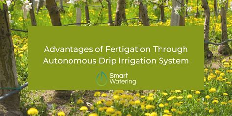 6 Advantages Of Fertigation Through Autonomous Drip Irrigation System