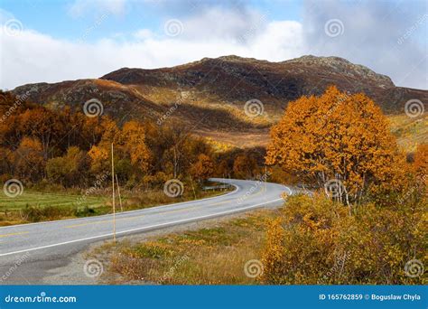 View Of The Autumn Mountains Covered With Colorful Trees Stock Image