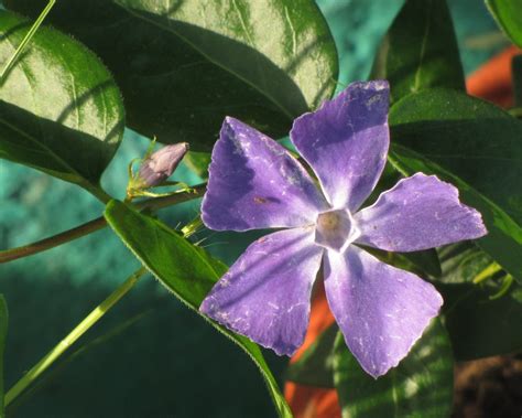 Check spelling or type a new query. Bumpy Trail Bicyclists: Himalayan Biking - Mukteshwar
