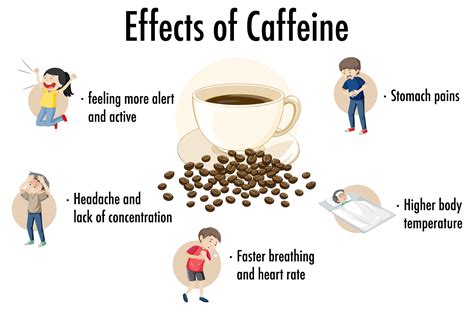 Effects Of Caffeine Infographic Vector Art At Vecteezy