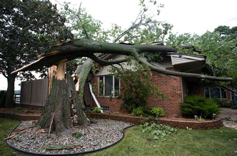 A Tree Fell On My Roof What Do I Do About It Kandp Roofing Siding And Home Improvement