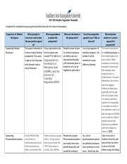 7 5 Activity Graphic Organizer Docx SCS 100 Graphic Organizer