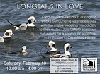View from the Cape: LONGTAILS IN LOVE - February 10