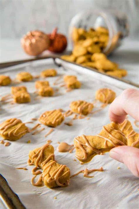 Soft Baked Peanut Butter Pumpkin Homemade Dog Treats • The Crumby Kitchen