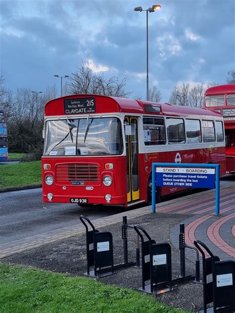 Arrived Ready To Climb Aboard The Red Bus Photo