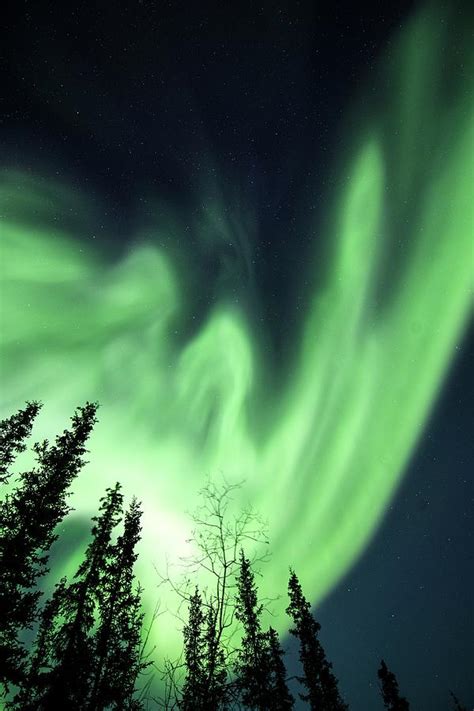 Aurora Borealis In Alaska Photograph by Chris Madeley