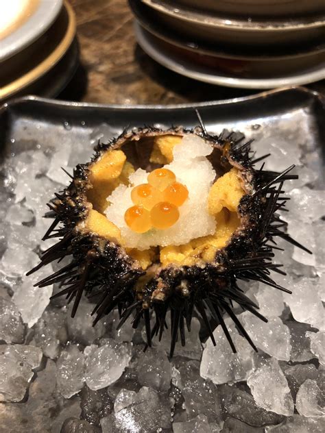 I Ate Sea Urchin In Its Shell Food Recipes Food Food Lover Yummy Food