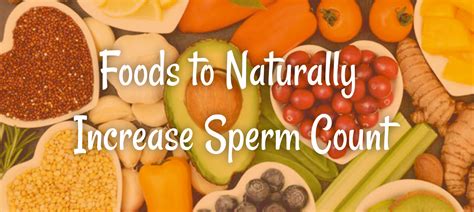Foods To Naturally Increase Sperm Count Medplusmart
