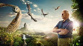 David Attenborough's Conquest of the Skies - TheTVDB.com