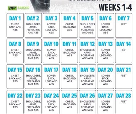 Going To Use The Arnold Blueprint And Musclepharm Workouts Next Month