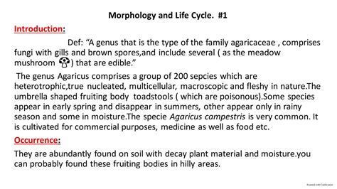 Solution Morphology Of Agaricus And It S Life Cycle Studypool