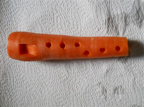 This Youtube Star Turns Vegetables Into Instruments